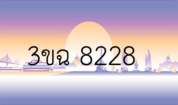 3ขฉ 8228
